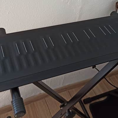 ROLI Seaboard RISE 49 MK1 (Mint / Factory Condition) with Original Boxes & Dedicated ROLI Hard Case image 2