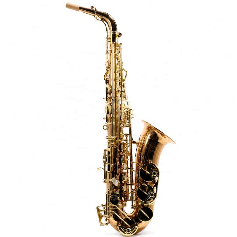 Yanagisawa AWO20