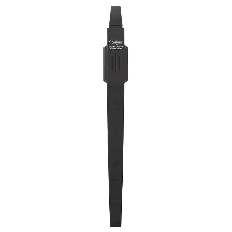 Carry-on Digital Wind Instrument image 2