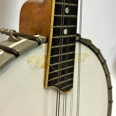 Vega Style S Banjo Mandolin 1920s Curly Maple Banjolin image 5