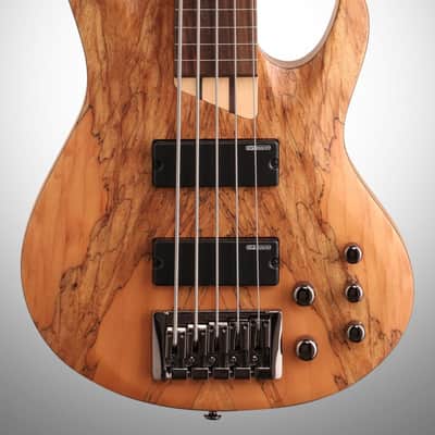 ESP LTD B205 Fretless Electric Bass (5-String) image 3