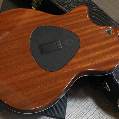 2006 Taylor T5-S1 Electric Guitar Natural Flame Top + OHSC image 12