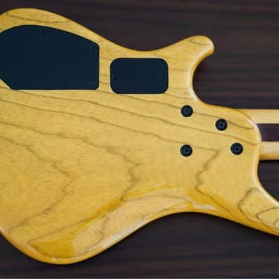 Roscoe Custom SKB 5 Electric Bass image 5