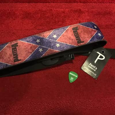 Washburn Southern Cross Dimebag Darrell BSG Customs image 15