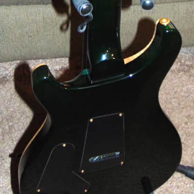 Paul Reed Smith Custom 24 Artist Package Emerald Green w/Birds and OHSC w/OHSC PRS image 8