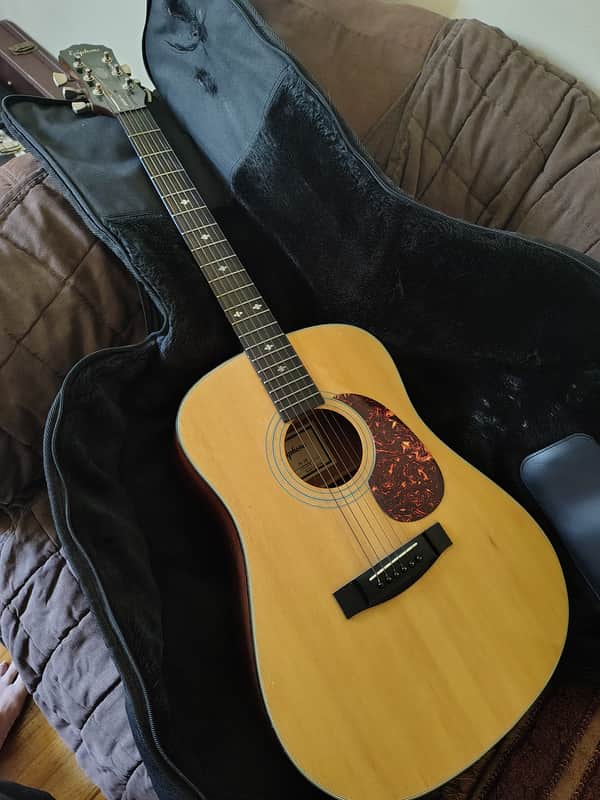Epiphone PR-350