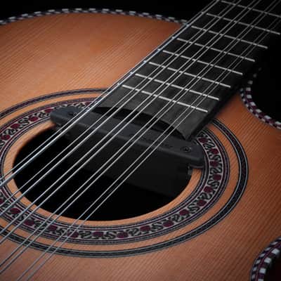 Fishman PRO-REP-BQ1 Rare Earth Active Humbucking Bajo Quinto Soundhole Pickup image 2