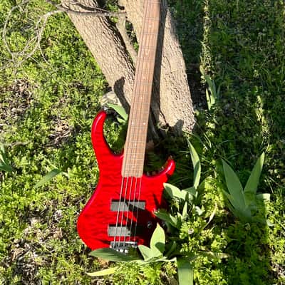 Peavey Fury V 2007/2008 5 String Bass - Upgraded Bartolini Pickups image 5