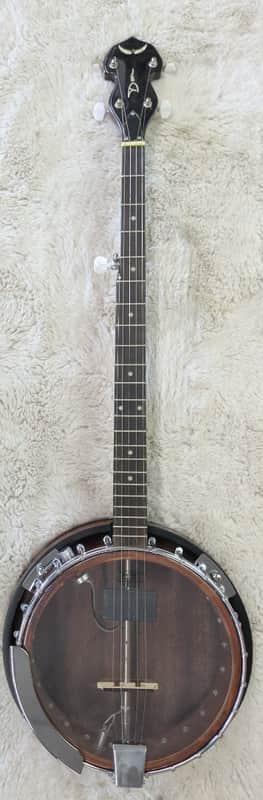 Dean Backwoods Model BW2E 5 string Electric Banjo with Mahogany Resonator image 1