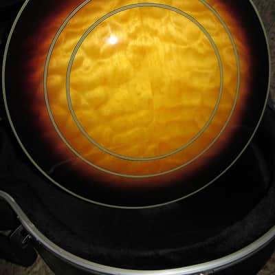 Samick SB3 Banjo with Gator Case -- I believe image 3