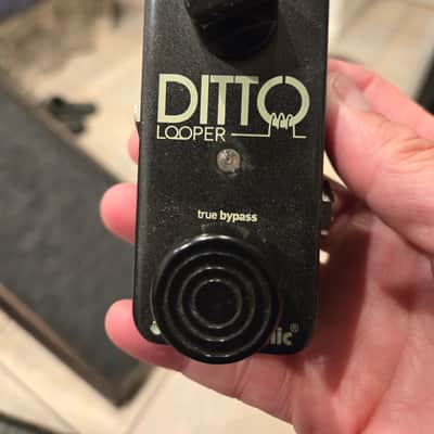 TC Electronic Ditto Looper 2013 - Present - Black image 1
