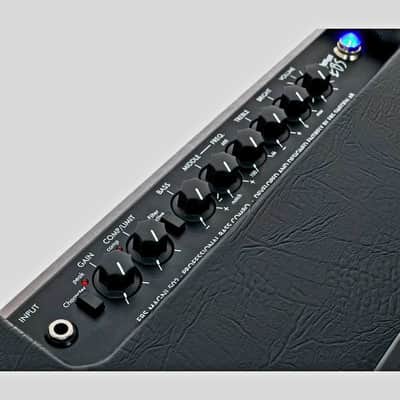 EBS Magni 502/210 | 500W 2x10" Bass Combo. New with Full Warranty! image 16