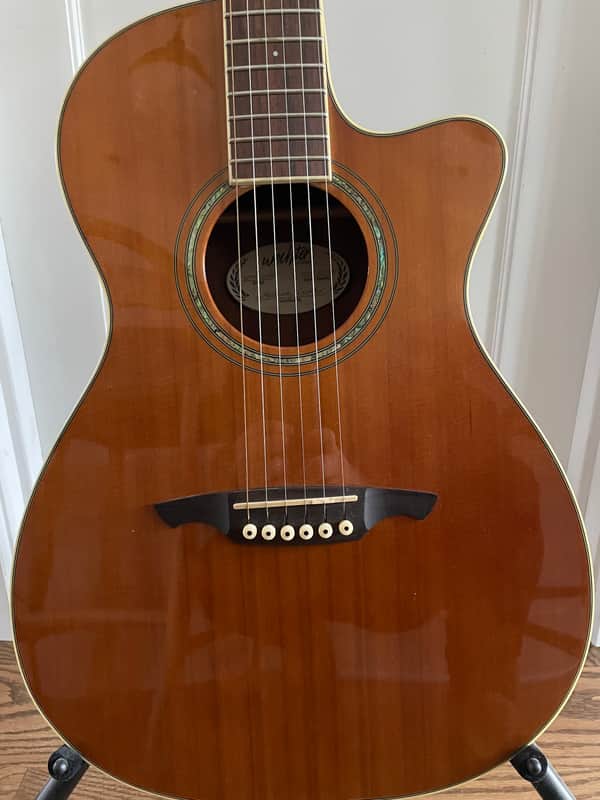 Wechter Nashville Special Elite NV-5413CE Acoustic Guitar Plek'd Fishman OHSC image 1