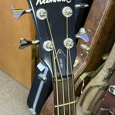 Washburn AB-20 image 2
