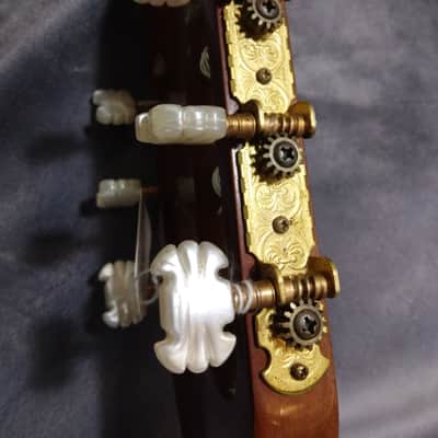 Epiphone Classical Acoustic Guitar, Model C40, Nylon Strings 1990s - Natural image 7