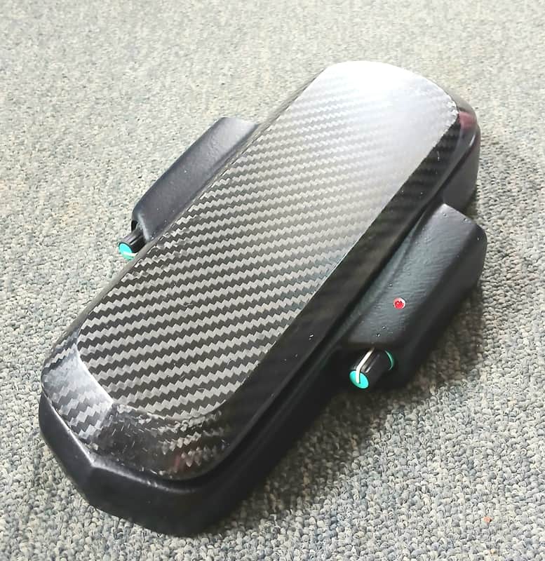 Roger Mayer Vision Wah 2000 image 1