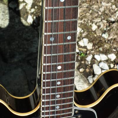 Navigator Limited Edition 'N' 335 Hollowbody 1980s sunburst image 12