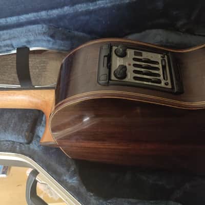 Sergio Sánchez Torres SE 114 + Fishman Premiun Blend - 2014 Shellac varnish image 4