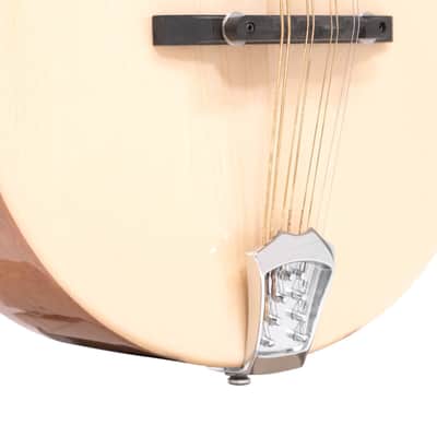 Gold Tone 8-String Mandola w/ Gig Bag image 3