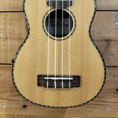 Cordoba ukulele 22S with Fishman image 2