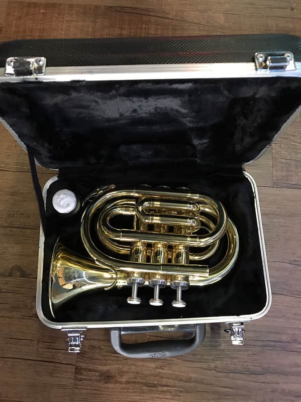 Stagg WS-TR245 Bb Student Pocket Trumpet w/ Case image 1
