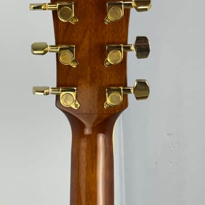Jay Turser JTAC-50EQ Acoustic-Electric Cutaway Guitar w/ Brand New Great Divide Gig Bag image 18