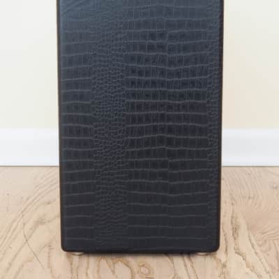 Magnatone Varsity Cathedral Front 1x12 Combo Boutique Tube Amp Near Mint, Celestion Blue image 8
