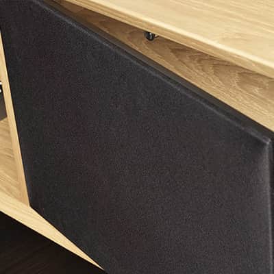LYNGDORF CS-1 - In-Cabinet Loudspeakers (Pair) - NEW! image 4