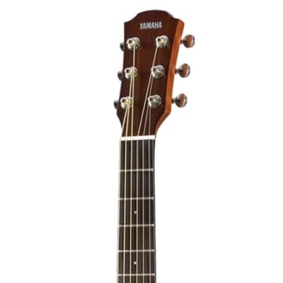 Yamaha Tobacco Brown Sunburst Parlor Guitar, Mahogany Back And Sides, Solid Spruce Top image 5