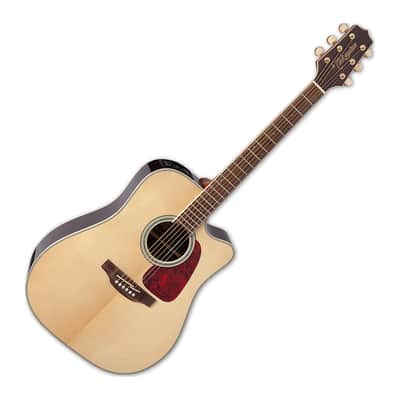 Takamine NPT 315 | Reverb