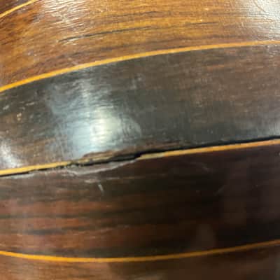 Vintage Mandolin Roundback image 5