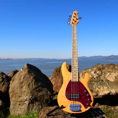 OLP Tony Levin Signature 5-String Bass  Flamed Natural image 1