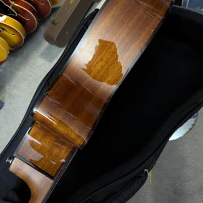Alvarez Artist AG60ce Armrest Acoustic/Elec. w/Flexi-case, setup, & shipping image 10