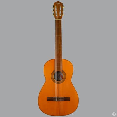 Vintage Hijos de Vicente Tatay Classical Guitar — Extremely Lightweight Post-War Spanish Workshop Build (ca. 1942–1955) image 5