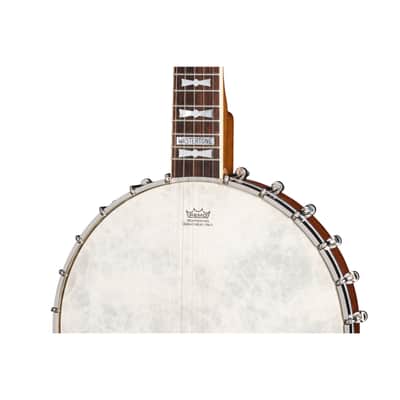 Epiphone Mastertone Bowtie Open Back - Banjo image 5