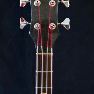 Alembic Series 1 Omega 1978 image 9