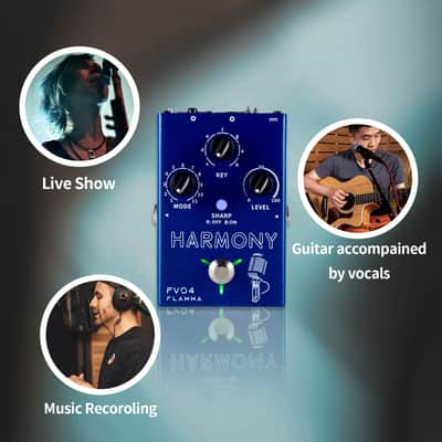 Flamma FV04 FLAMMA FV04 Harmony Vocal Pedal Processor 12 Pitches,price include the import duty to US buyer image 6