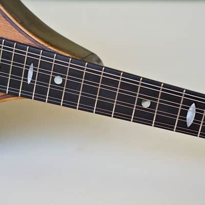 Mandolin by J. Murthwaite Newcastle 1901 image 8