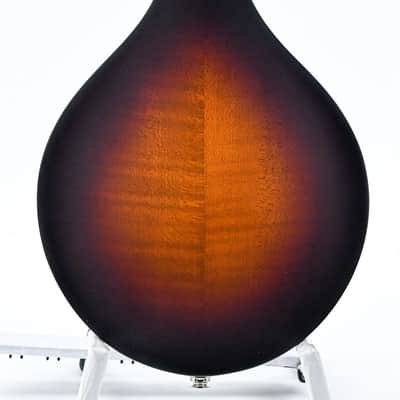Eastman MD305E Sunburst Bild 4