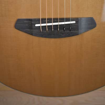 Breedlove Premier Companion E LTD 2024 - Brazilian Rosewood USA image 3