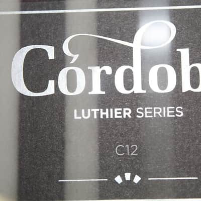 Brand New Cordoba C12 Nylon String Spruce Top Classical Guitar image 6