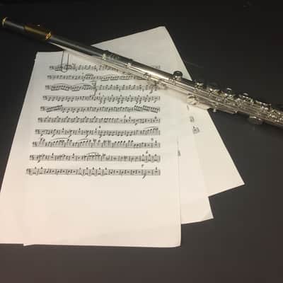 Armstrong LE 100 Flute image 1