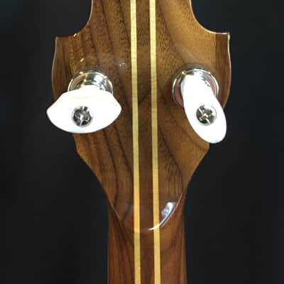 Tyler Mountain TM-800  Pro Model 5-String Banjo w/ Hardshell Case image 10