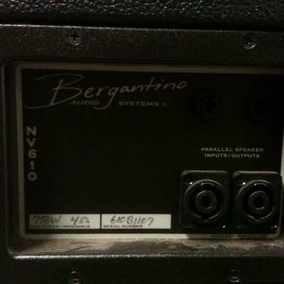 Bergantino NV610 bass cabinet image 2