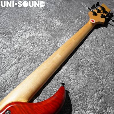 F Bass Alain Caron Signature AC-5 AC5 Fretless image 8
