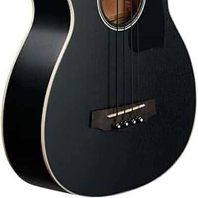 Ibanez PCBE14MH Performance Acoustic-Electric Bass image 3