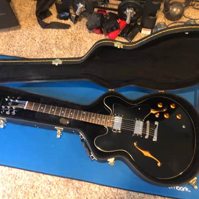 Epiphone DOT EB 335 Electric Guitar w/Hardshell Case. image 1
