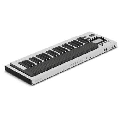 Expressive-E Osmose CE 49 Expressive MIDI Keyboard Controller with MPE image 4