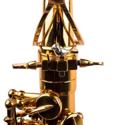 Sax Booster Accessory - Upgrade Your Sax Tone - Jazz Classical Saxophone Gear (925 Silver, Bird Style) image 2