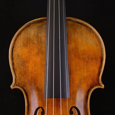 Concert Level Violin Guarneri del Gesu 1743 Cannone Violin W-69 image 9